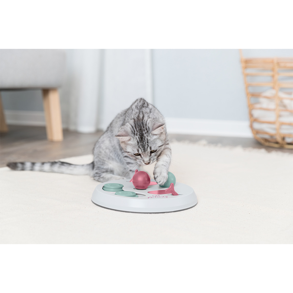 Trixie Cat Activity Flip Board günstig kaufen