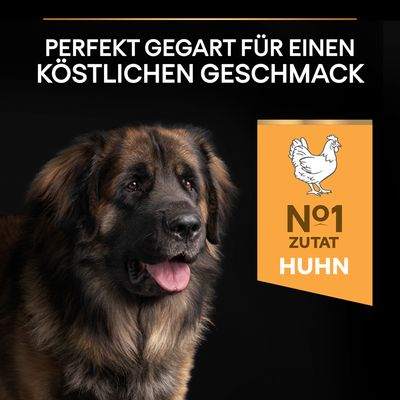 PURINA PRO PLAN Large Robust Adult Everyday Nutrition