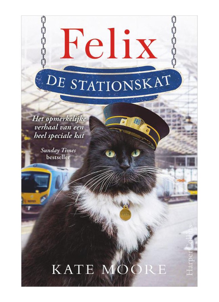Felix, motanul de la gară