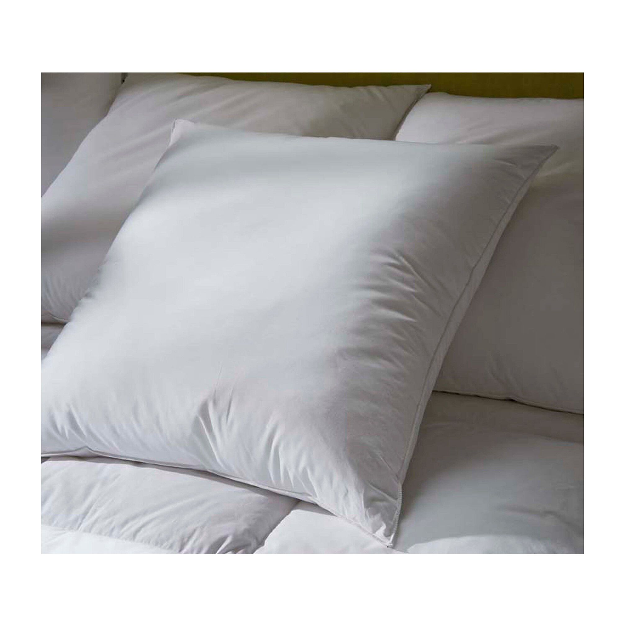 Oreiller duvet et plumettes enveloppe coton antitaches