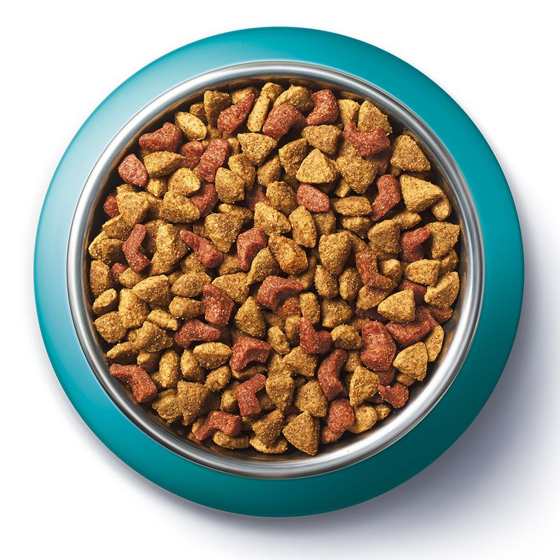 PURINA ONE Dual Nature Lachs mit Spirulina