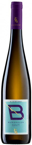 2022 Schweicher Burgmauer Riesling Kabinett feinherb - Weingut Günter Gindorf