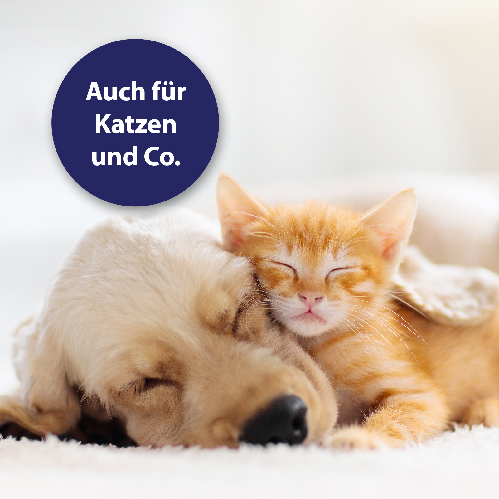 Canosept Pfotenpflege Canosept Wundgel für Hunde 20 ml