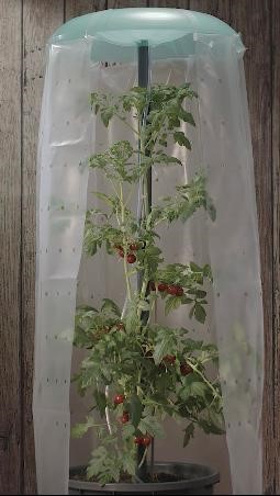 KHW KHW Tomatenhut 3er Set inklusiv Stab und Schutzfolie