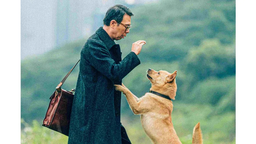 Hachiko - Eine Freundschaft für die Ewigkeit! (2023)