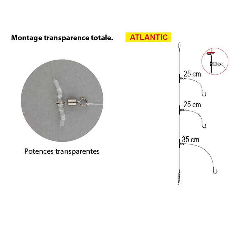 PRO-LINE BOTTOM LINE - ATLANTIC (2 HAM) FLASHMER