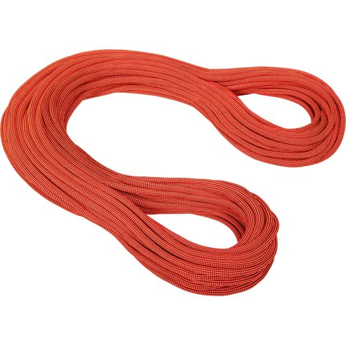 BERGSEIL 10.2 GRAVITY DRY