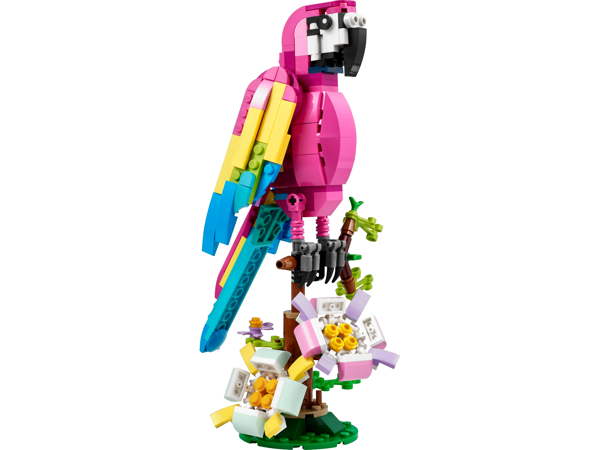 Exotischer pinkfarbener Papagei 31144