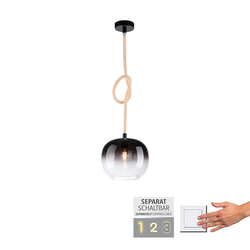 Paul Neuhaus Pendelleuchte LUMA, 1x E27/40Watt max., 1x LED-Board/12,50Watt, Schwarz
