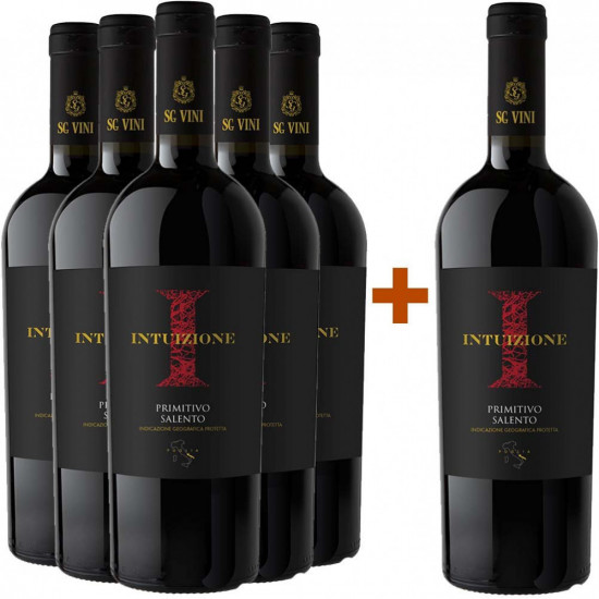 5+1 Paket Intuizione Primitivo Salento IGP trocken - SG Vini