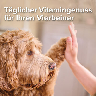 Beaphar Ergänzungsfutter & Aufzucht Beaphar Multi Vitamin Paste Hund, 250g