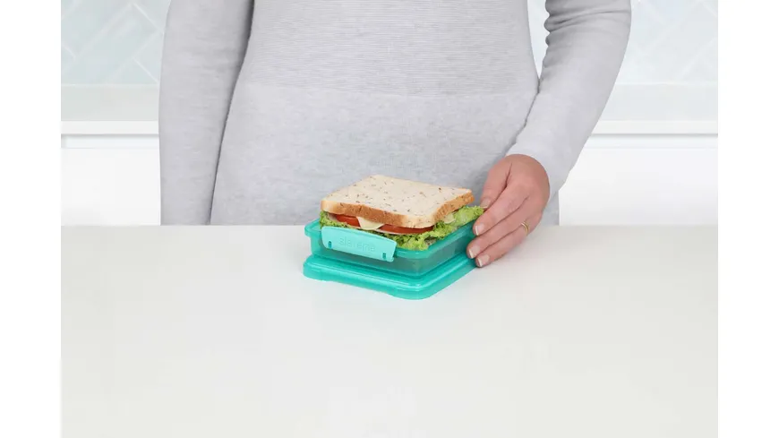 sistema Brotdose Sandwichbox 450ml Achtung: diesen Artikel gibt es in verschiedenen farblichen Ausführungen. Sie erhalten nur 1 Artikel (zufällige Auswahl im Lager). Eine Vorauswahl ist leider nicht möglich.