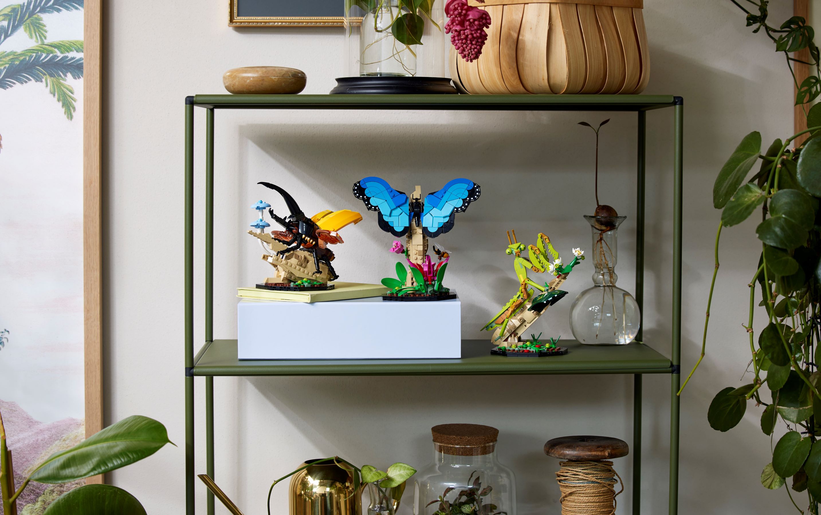 Die Insektensammlung 21342
