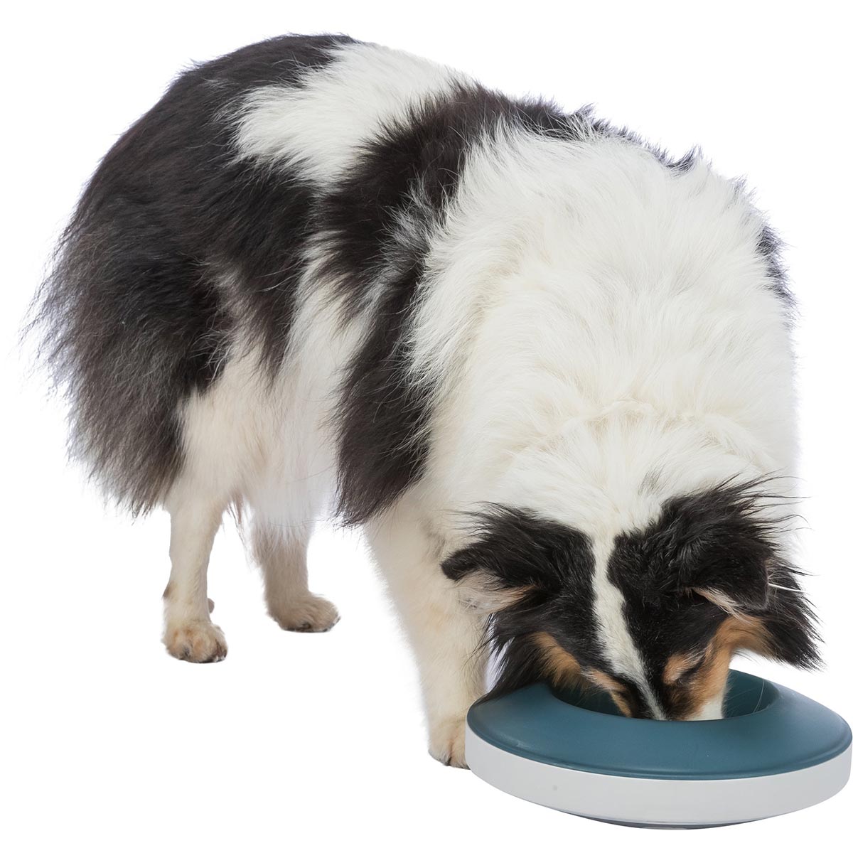 Trixie Slow Feeding Rocking Bowl 0,5l günstig kaufen