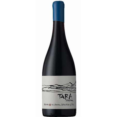 RED WINE N°1 2021 - PINOT NOIR - TARA