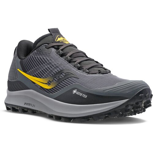 HERREN LAUFSCHUHE PEREGRINE 12 GTX