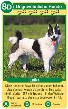 Hunde - Kartenspiel ab 4 Jahren