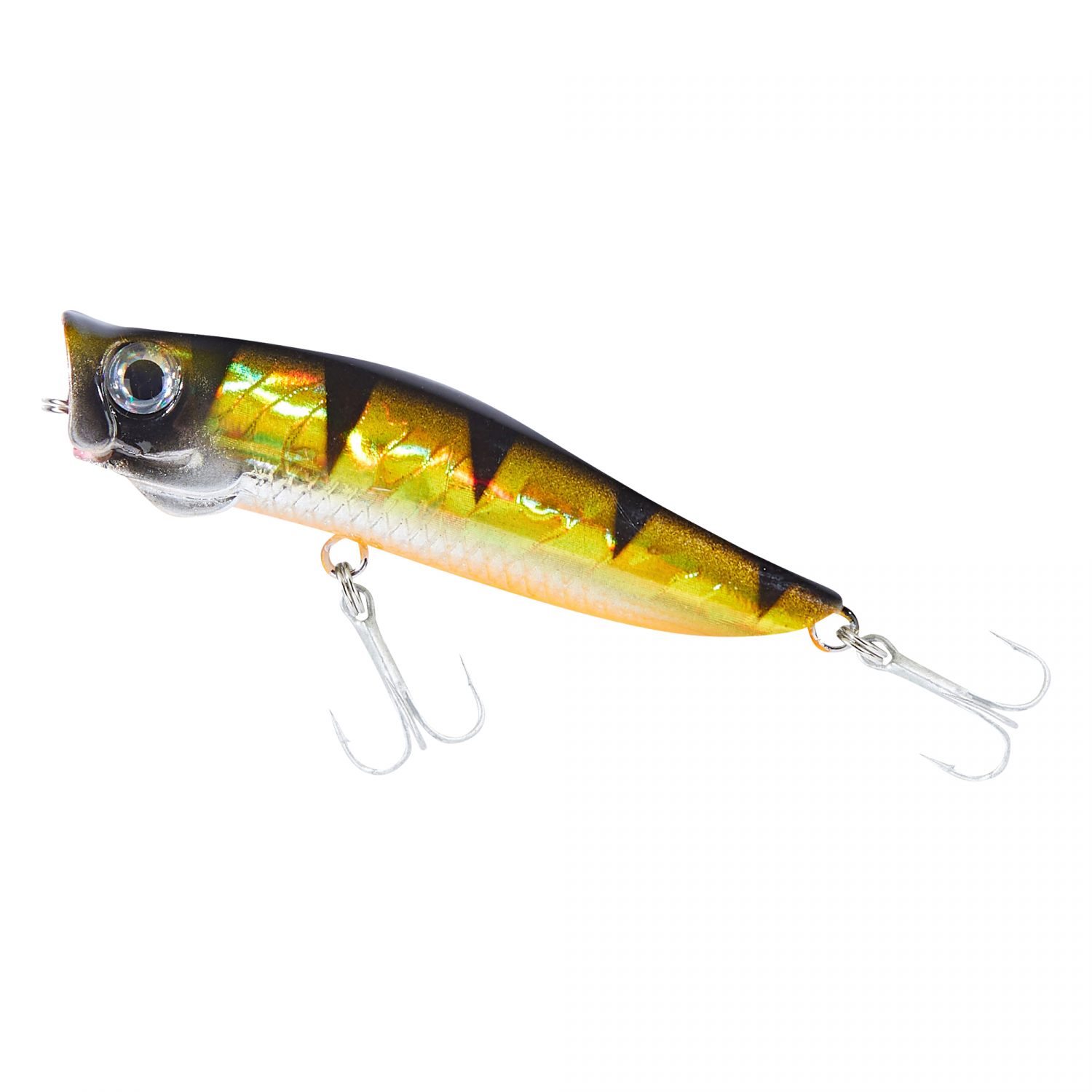 Colonel Popper Popstar FL (perch)