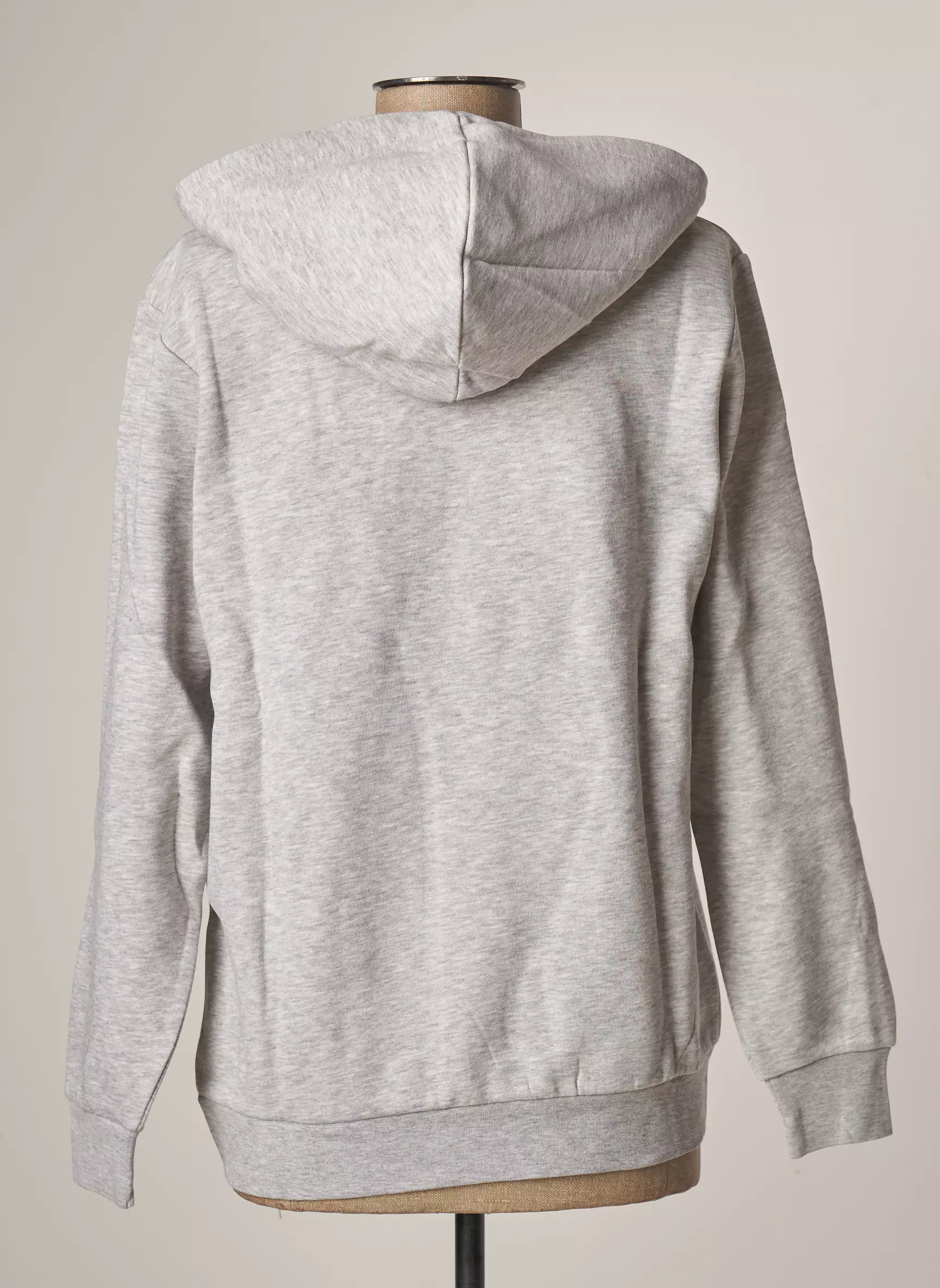 Jjxx Sweat Capuche Femme couleur gris