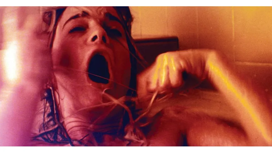 Body Snatchers - Mediabook