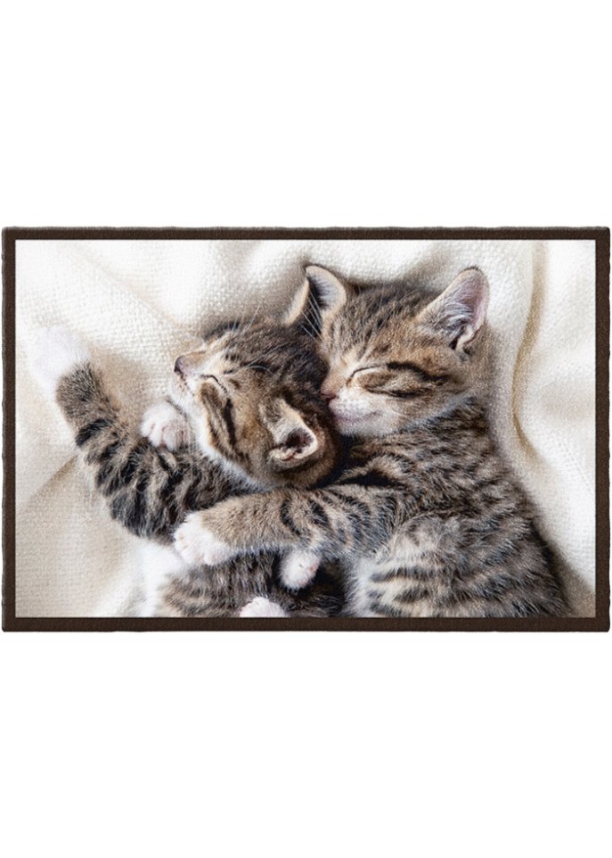 Fußmatte mit Katzen