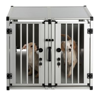 Autohundebox AluRide Doppelbox