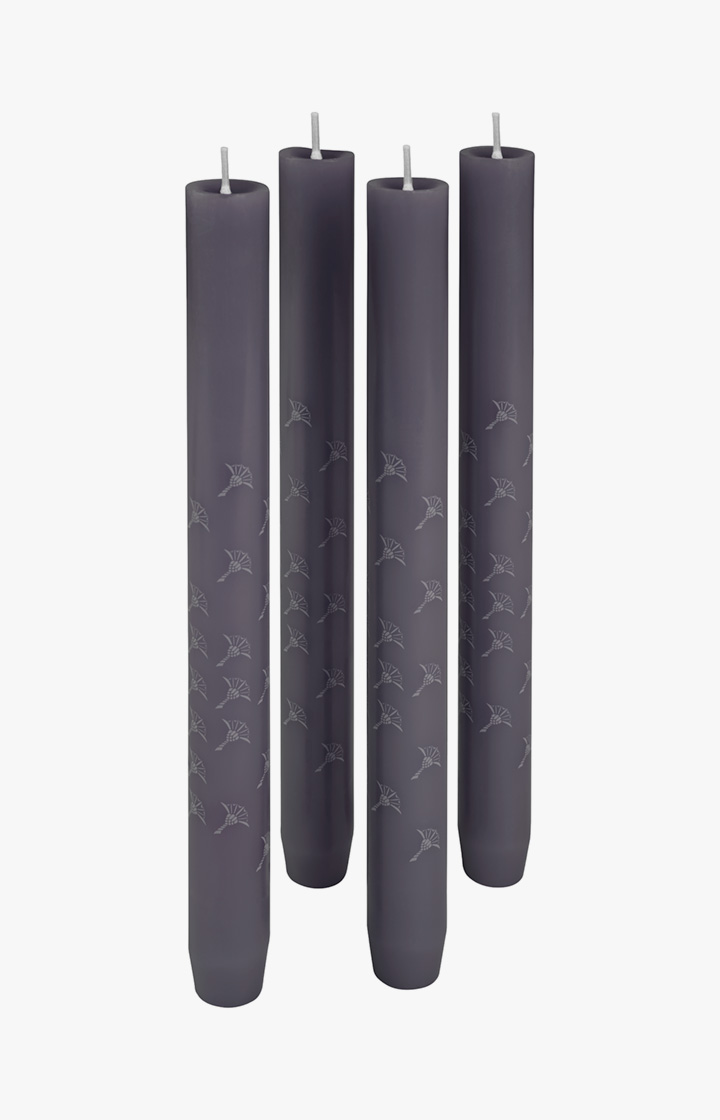 JOOP! FADED CORNFLOWER Stabkerze in Graphit, 4er Set - im JOOP!