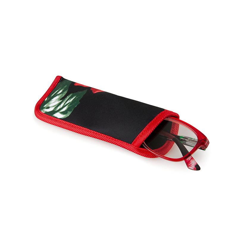 ProEye Lesebrille m/oppbevaringslomme