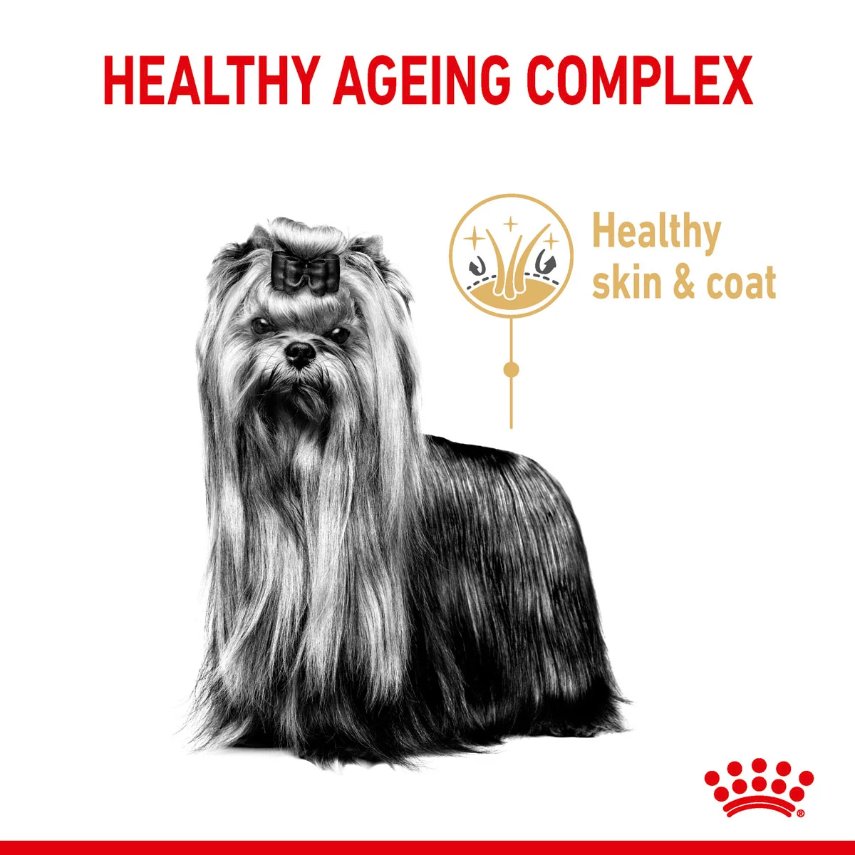 ROYAL CANIN Yorkshire Terrier 8+ Trockenfutter für ältere Hunde