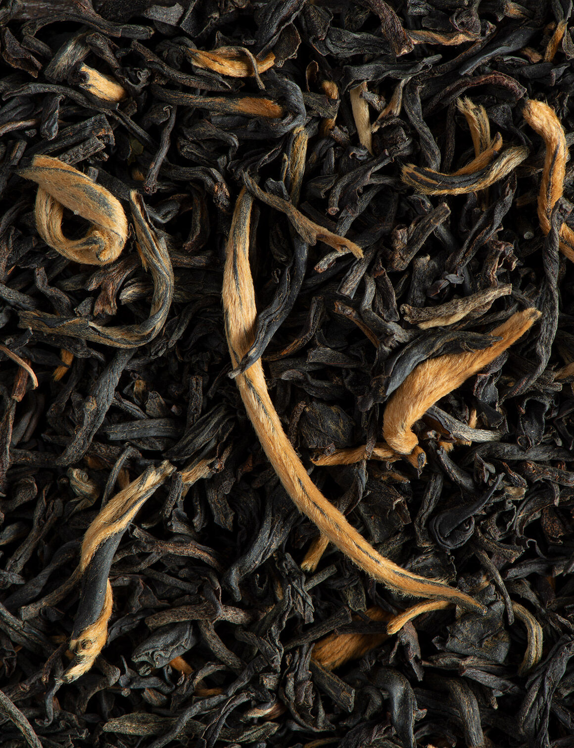 Earl grey des seigneurs-25 sachets