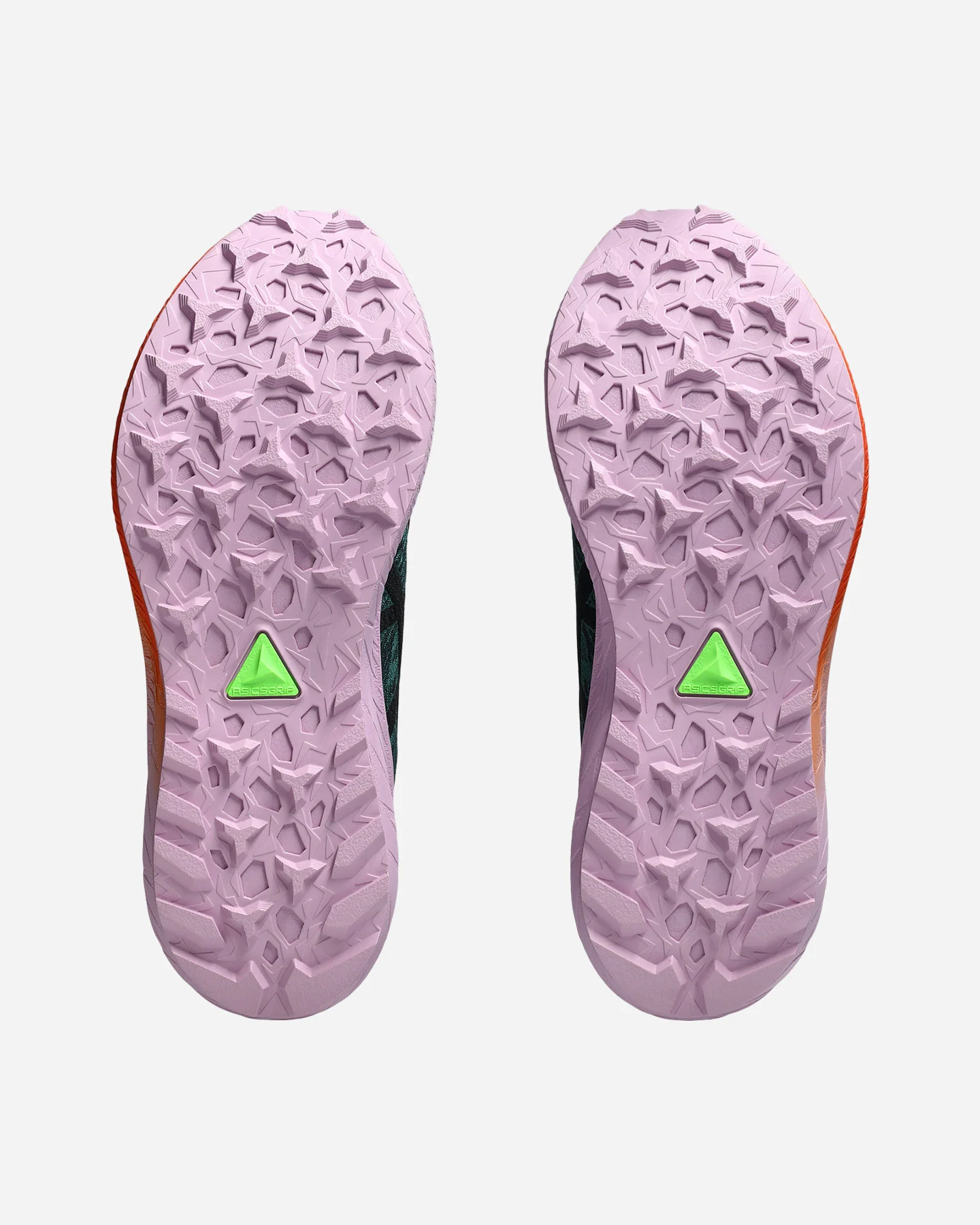 Scarpe Trail Asics Fuji Lite 5 W 1012B690-300