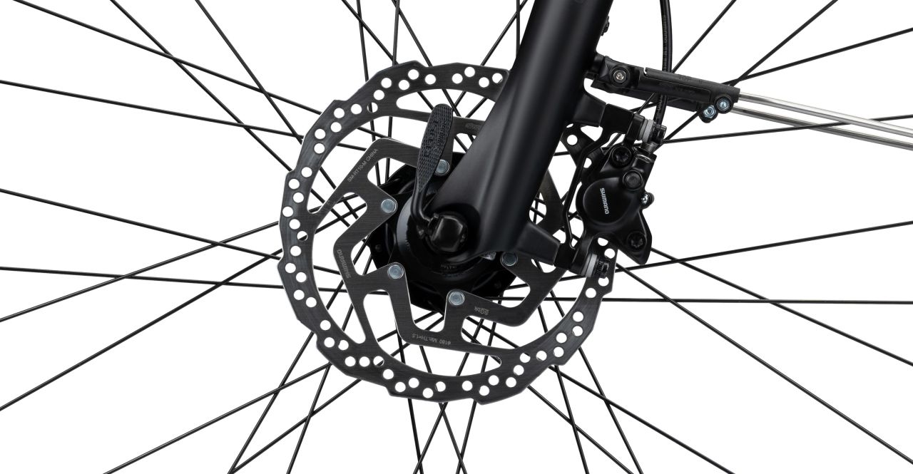Radon Solution Comfort 9.0 Lady kaufen | Bike-Discount