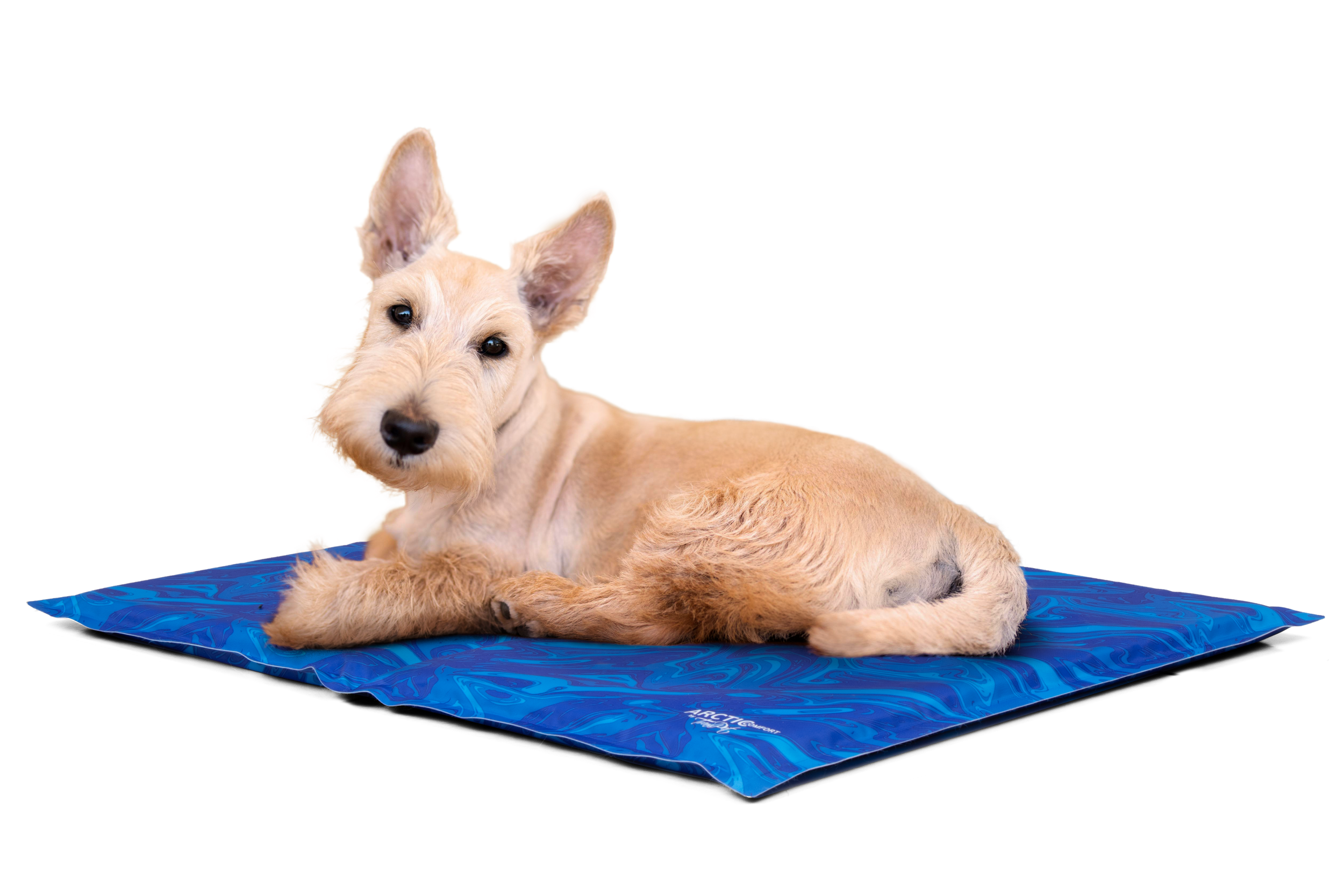 TrendPet Hundematten TrendPet Arctic Comfort 20 mm premium Kühlmatte blau S