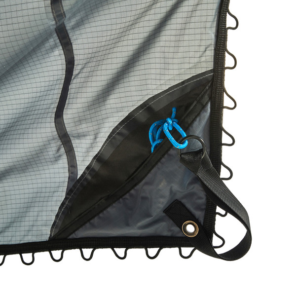 DAWN L TARP
