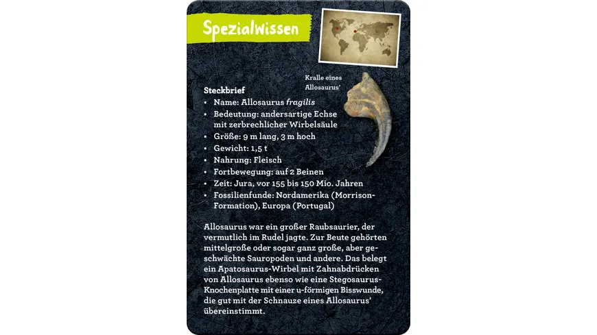 Die Spiegelburg - 50 Dinosaurier (Nature Zoom)