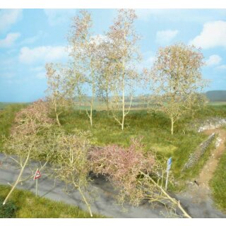 Bäume Seemoos natur (35 Stk.)