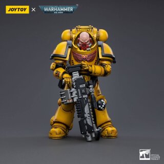 Warhammer 40k Actionfigur: Imperial Fists Heavy Intercessors 02