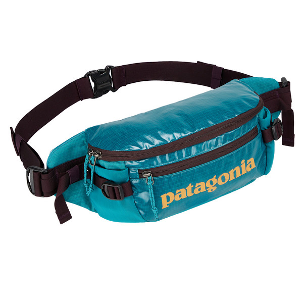 BLACK HOLE WAIST PACK 5L - Hüfttasche