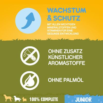 Pedigree Junior Medium mit Huhn & Reis
