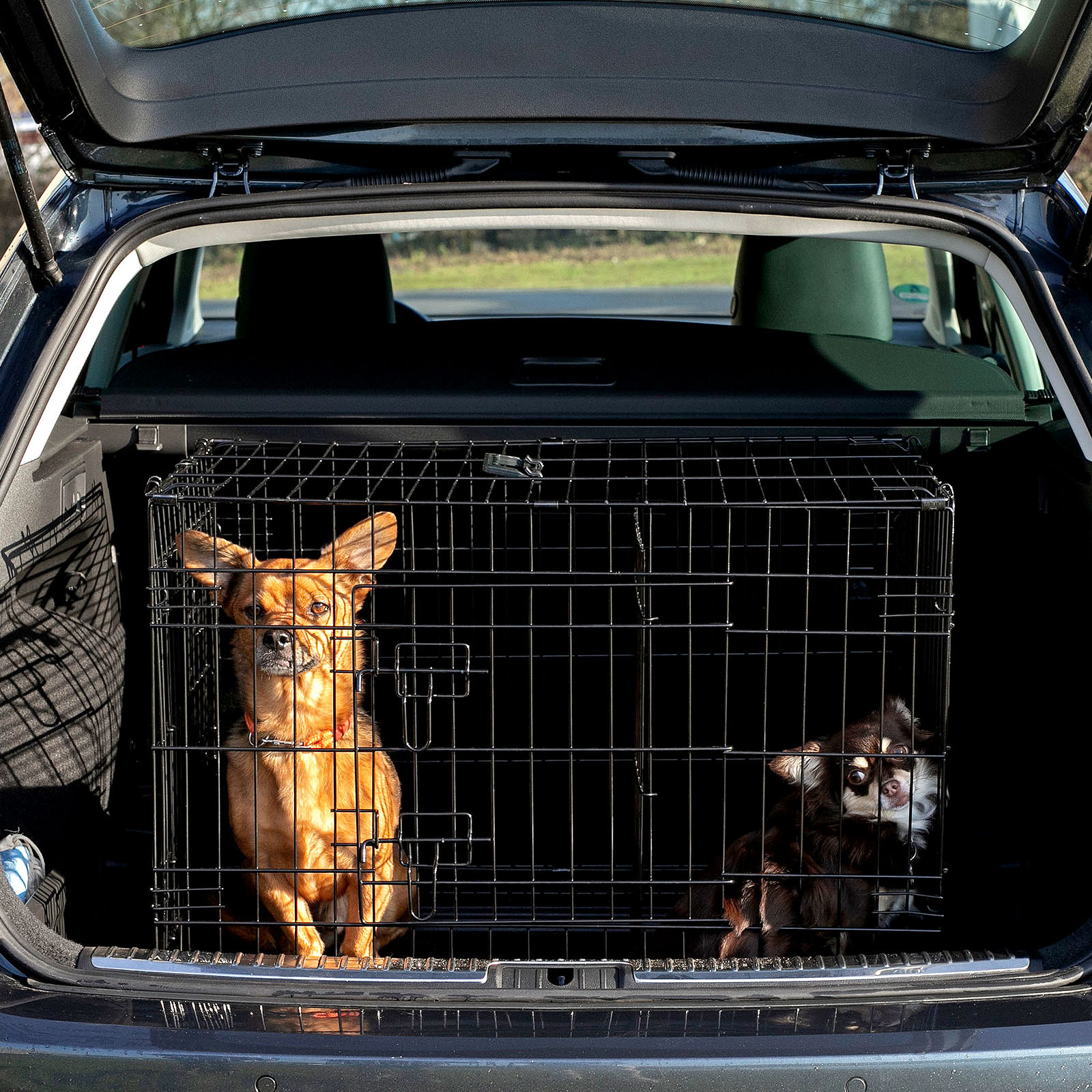 Lionto Transportboxen & Gitterboxen Lionto Hundetransportkäfig Tiertransportbox Hundebox Größe (S) 45x31x36 cm L