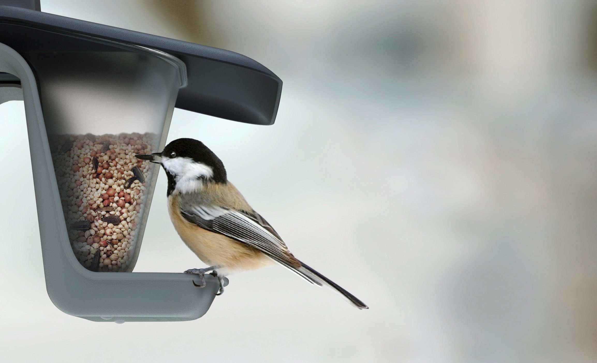 Prosperplast Vogelhaus Birdyfeed Double, BxTxH: 28x18,5x17,3 cm