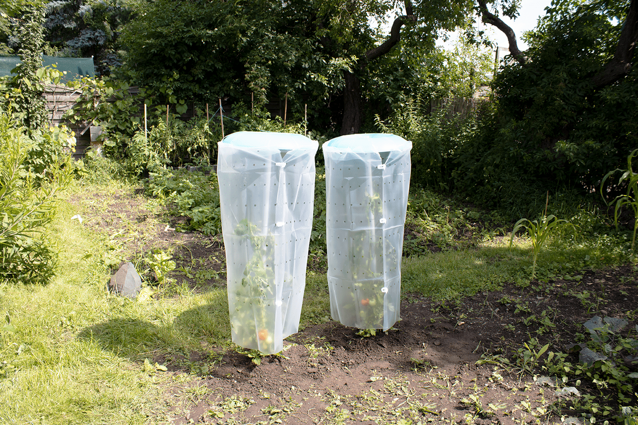 KHW KHW Tomatenhut 2er Set inklusiv Stab und Schutzfolie