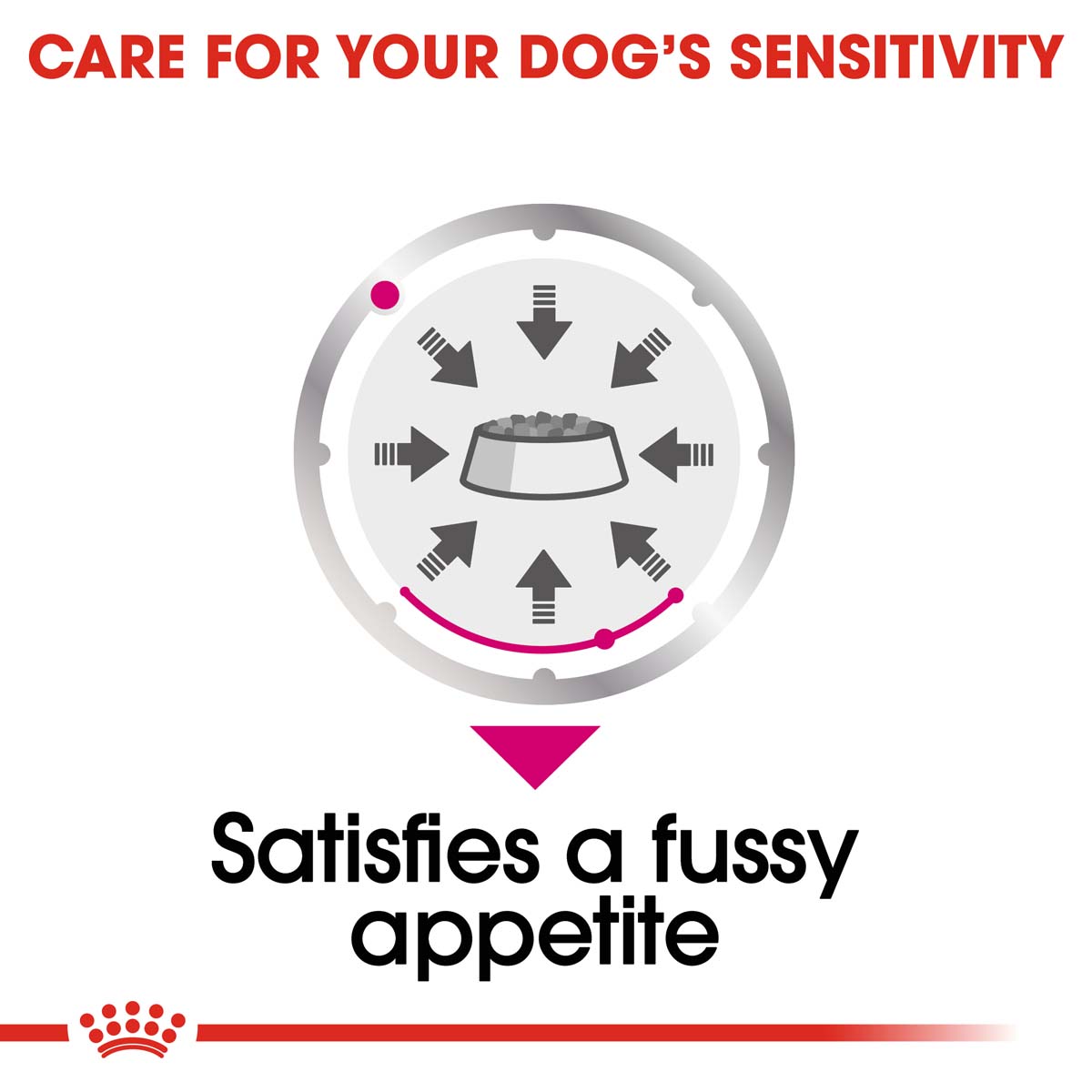 ROYAL CANIN EXIGENT Nassfutter für wählerische Hunde 12x85g