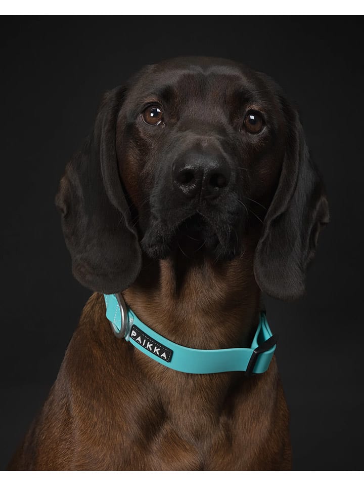 Paikka Halsband 