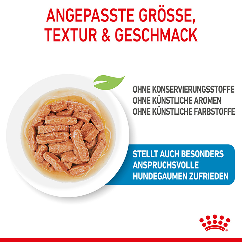 ROYAL CANIN Hundenassfutter ROYAL CANIN Medium Puppy 10x140g