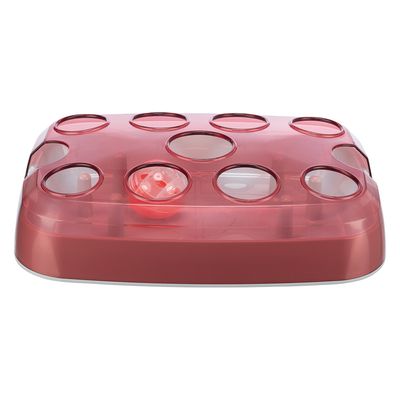 Trixie Cat Activity Soccer
