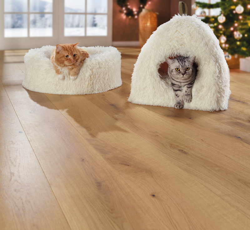 AniOne Katzenbetten & Katzensofas AniOne Liegeplatz Cosy Dream