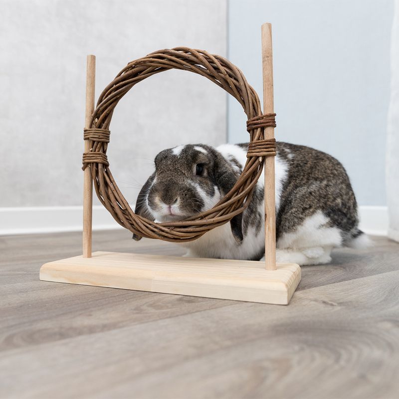 Trixie Agility-Set für Kaninchen zu TOP-Preisen