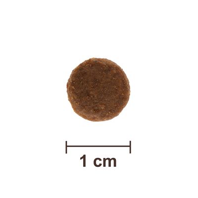 Feringa Adult Sterilised Lachs