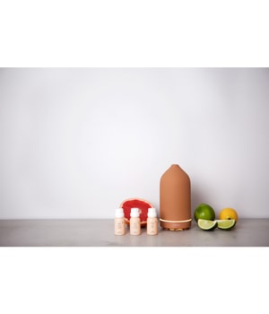 volant Terracotta Volant Aroma Diffusor-100 ml